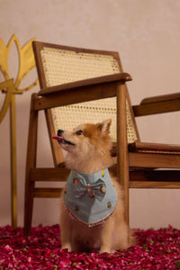 Sky Pawtie