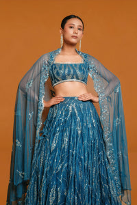 Indian Blue Lehenga with Sequin Butter Net Design