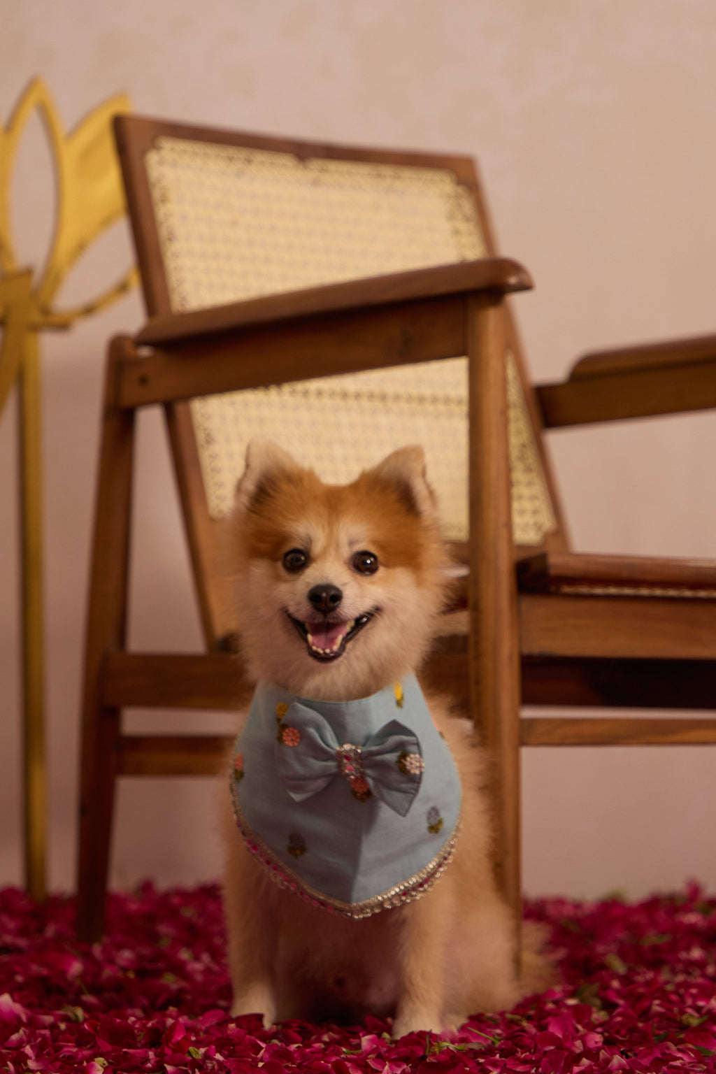 dogs scarf from Agapi Paw collection