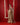 Best Designer Sarees for Weddings in 2026: Discover the RAANI Collection - Agapi