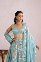 Blue Zari Lehenga