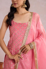 Royal Pink Sharara