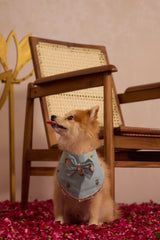 Sky Pawtie