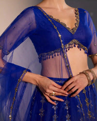 Serena Blue Lehenga Set - AgapiLehengas