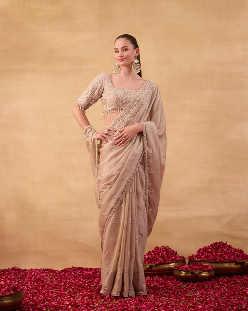 Warm Grey Saree - AgapiSarees