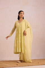 Butter Yellow Basanta