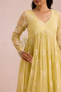 Butter Yellow Basanta