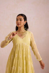 Butter Yellow Basanta