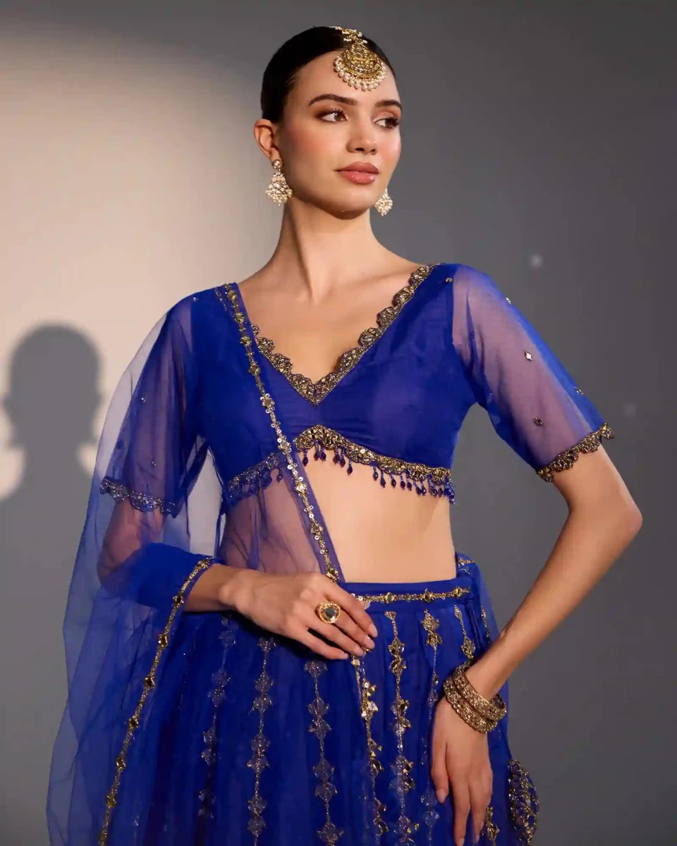 Serena Blue Lehenga Set - AgapiLehengas