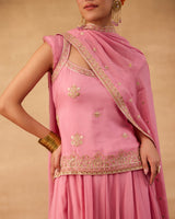 Pink Handwork Lehenga