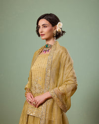 Suvarna  Gold Sharara Suit