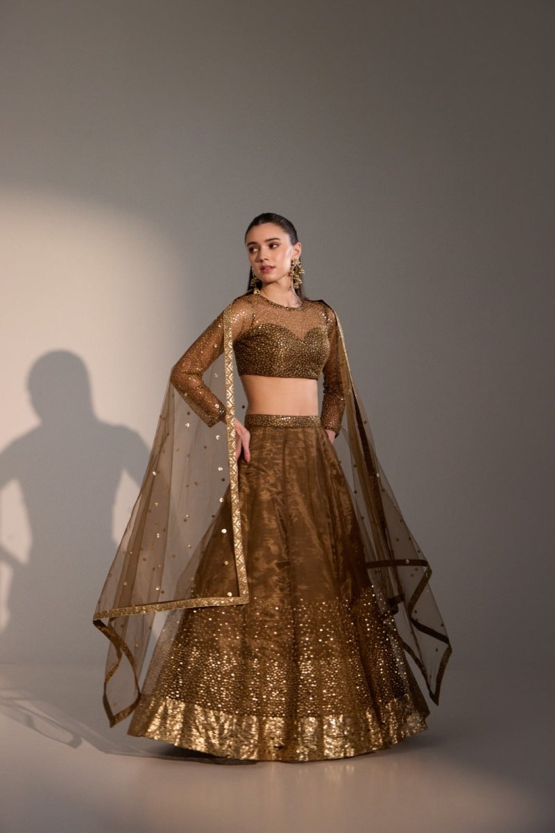 Sora Chocolate Brown Net Lehenga Set with Subtle Shimmer & Sheer Blouse - AgapiLehengas