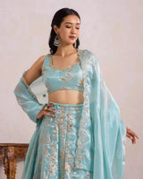 Blue Zari Lehenga for Wedding & Festive Occasion Wear - AgapiLehengas