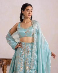 Blue Zari Lehenga for Wedding & Festive Occasion Wear - AgapiLehengas