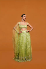 Mint Green Lehenga – Katdana Work