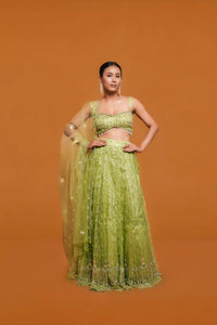 Mint Green Lehenga – Katdana Work
