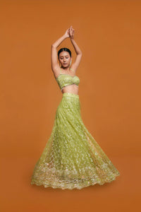 Mint Green Lehenga – Katdana Work