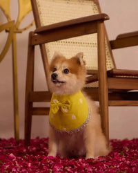 Marigold Pawtie - AgapiPawtie