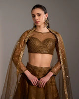 Sora Chocolate Brown Net Lehenga Set with Subtle Shimmer & Sheer Blouse