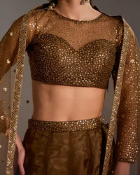 Sora Chocolate Brown Net Lehenga Set with Subtle Shimmer & Sheer Blouse