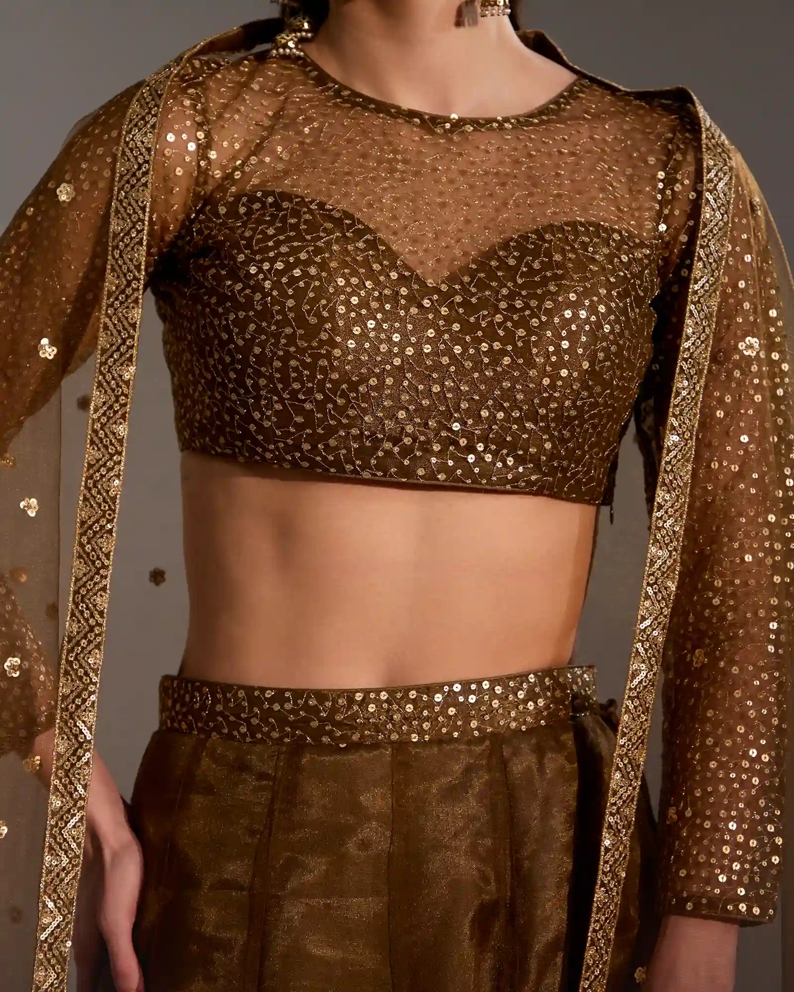 Sora Chocolate Brown Net Lehenga Set with Subtle Shimmer & Sheer Blouse