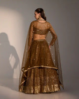Sora Chocolate Brown Net Lehenga Set with Subtle Shimmer & Sheer Blouse